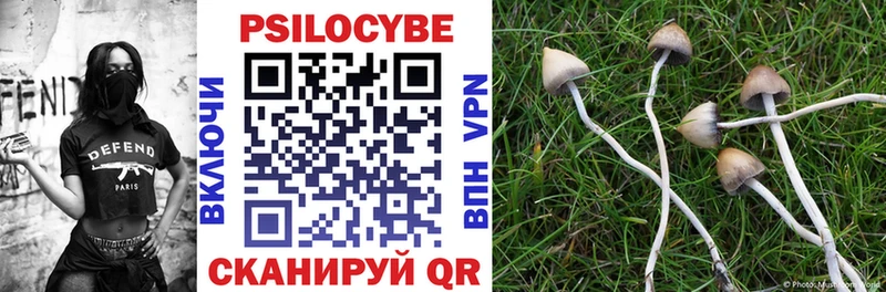 наркота Короча Галлюциногенные грибы Cubensis